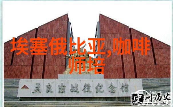 摩卡咖啡caffeMocha康宝兰咖啡玛其雅朵咖啡打奶泡 意式拼配