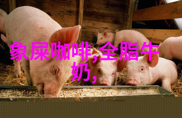 美国的--- 美国人酷爱滴滤式清淡如水的咖啡
