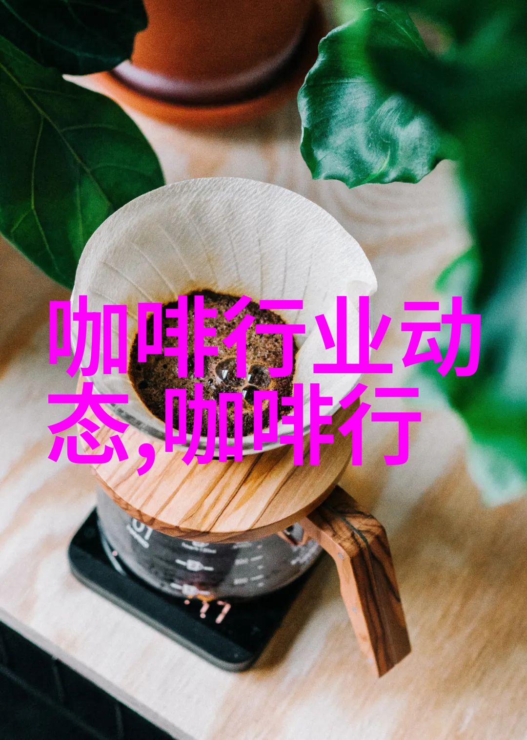 第26届世界咖啡科学大会在昆明隆重开幕